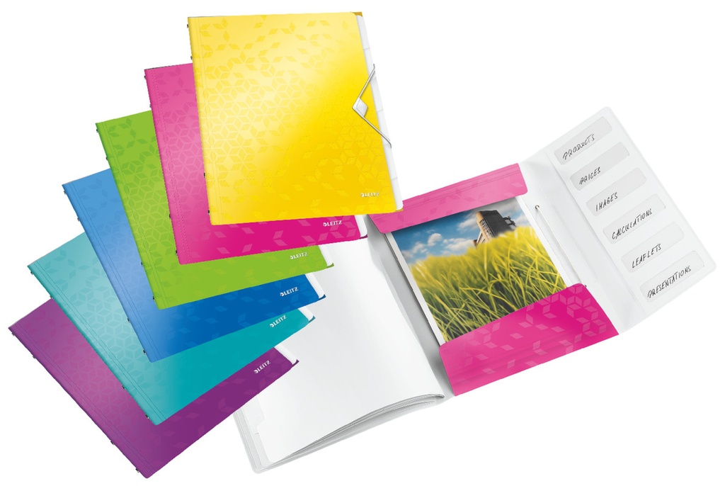 Sorteermap Leitz WOW PP A4 6-vaks assorti metallic