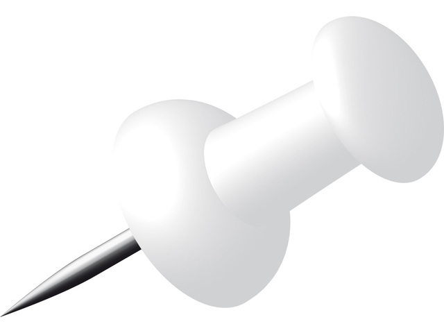 Punaises Alco wit (40)