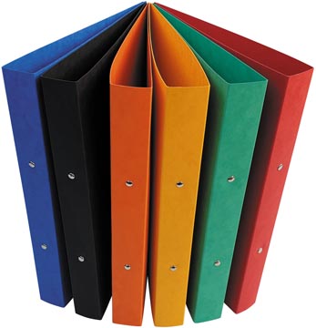 Ringmap Bronyl A4 Glanskarton 2 ringen rug 25mm assorti