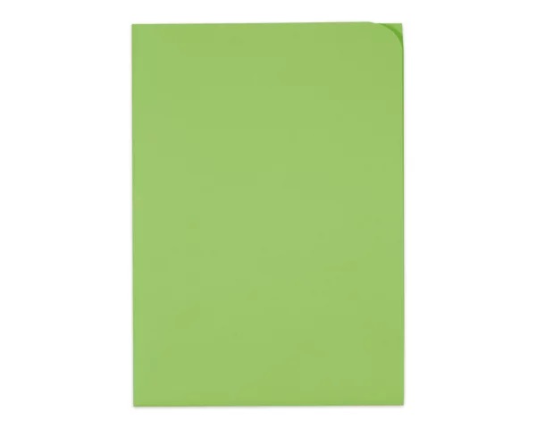 Dossiermap Elco Ordo Discreta A4 groen (100)
