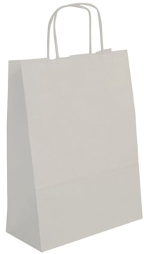 Geschenkzak Apli 32x16x39cm met handvat bruine kraft (50)