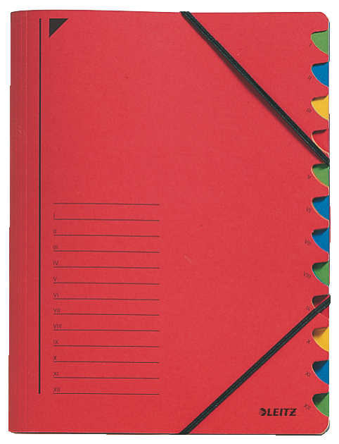 Sorteermap Leitz karton A4 12-vaks
