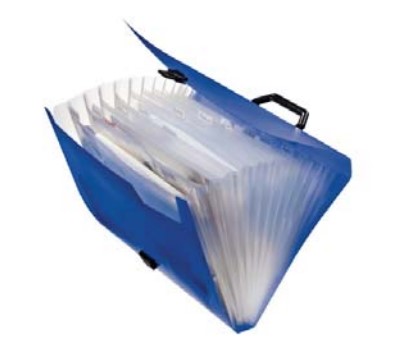 Waaiermap Esselte 12 verdelingen zwart