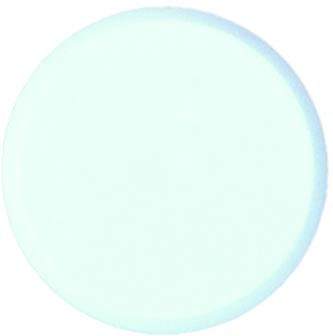 Magneet Bouhon Ø10mm wit (10)