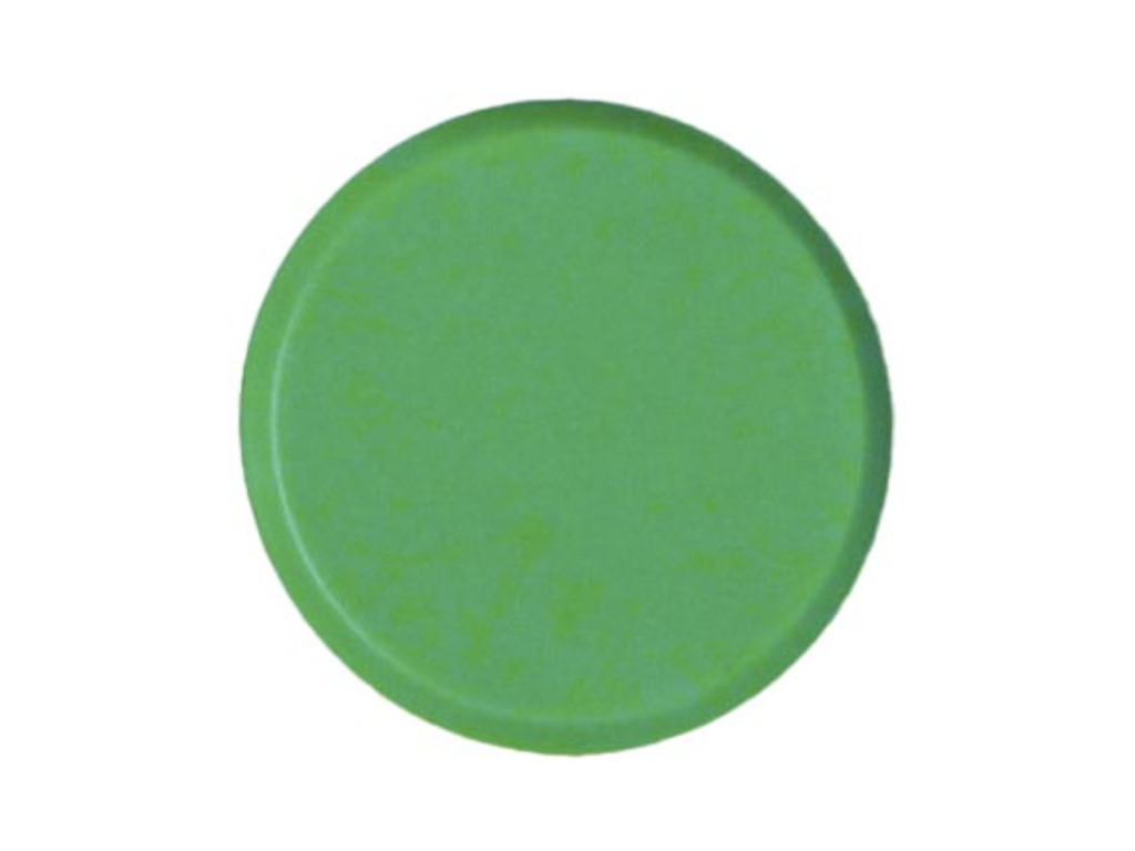 Magneet Bouhon Ø20mm groen (10)