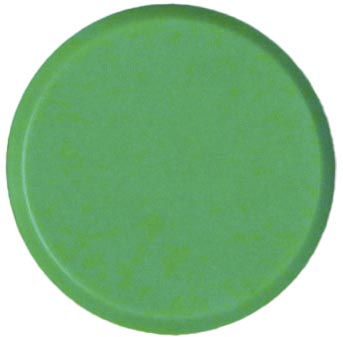 Magneet Bouhon Ø30mm groen (10)