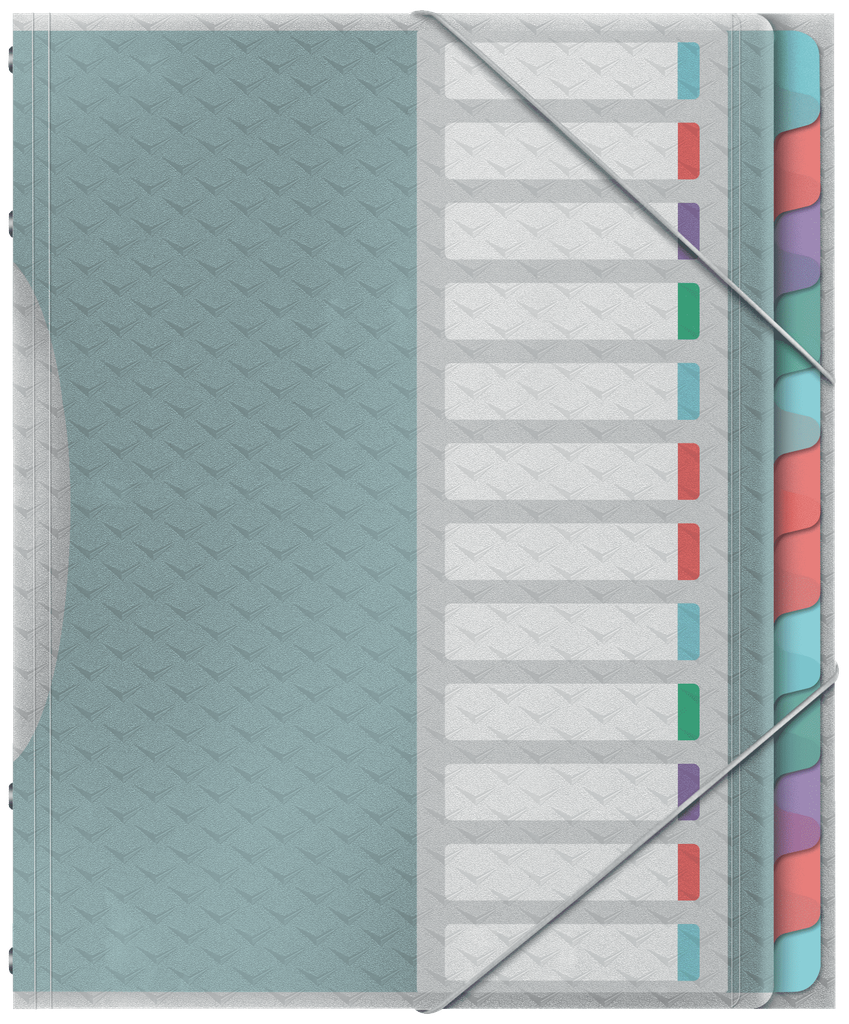 Sorteermap Esselte Colour'Breeze PP A4 12-vaks assorti