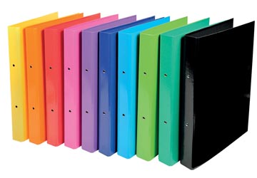 Ringmap Exacompta karton A4 2 O-ringen 30mm rug 40mm assorti