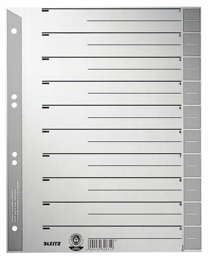 [ESS-16520085] Tabbladen Leitz Staffel karton A4 230gr 6-gaats duokleur assorti (100) (grijs/donkergrijs)