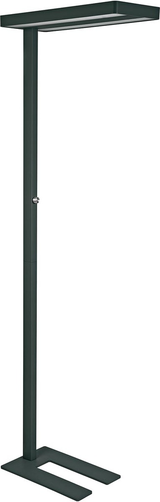 Vloerlamp Maul Javal zwart