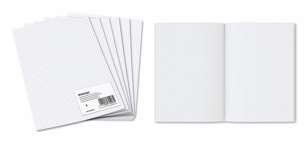 Ministerpapier Aurora A4 geruit 5mm pak van 240 geplooide vellen