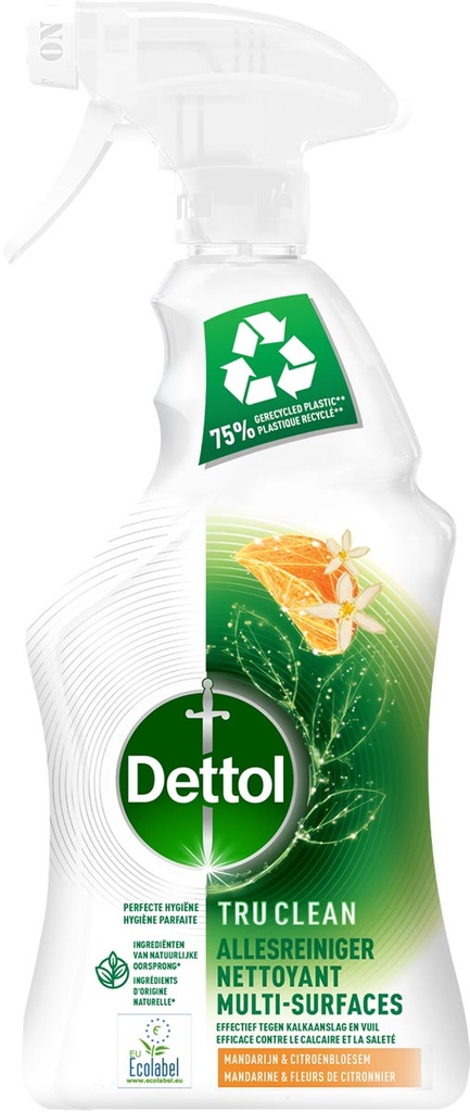 Allesreiniger Dettol mandarijn en citroenbloesem spray 500ml