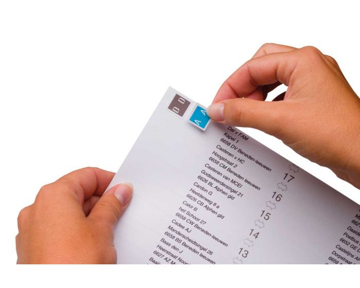 Indicatiestroken voor Jockey: 100mm (1700)