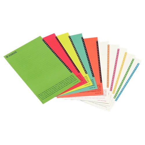 Ruiterstroken Esselte Orgarex voor verticale hangmap assorti (250)