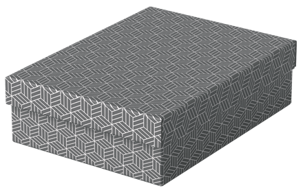 [ESS-628285] Esselte Home middelgrote lage opberg-en geschenkdoos karton (3) (grijs)