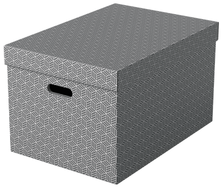 Esselte Home grote opberg-en geschenkdoos karton (3)