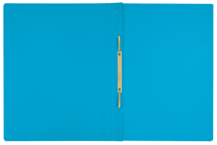 [ESS-39040035] Hechtmap Leitz Recycle karton A4 275g (blauw)