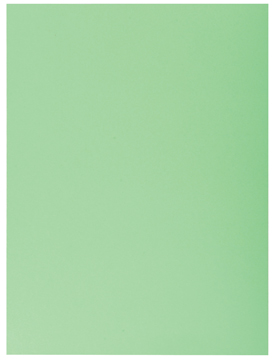 [TIM-339004E] Dossiermap Exacompta Super 210 karton A4 210g met 1 klep (50) (groen)