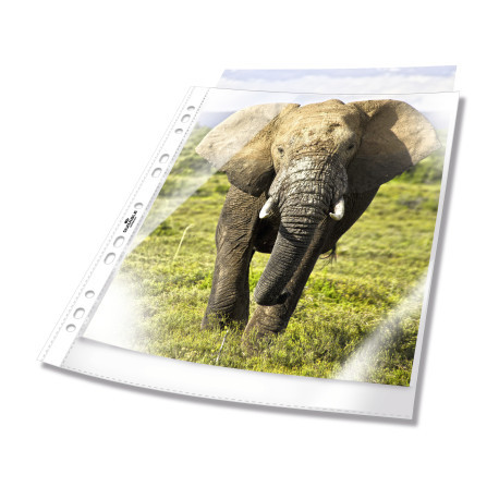 Showtas Durable Business PP A4 transparant (100) 