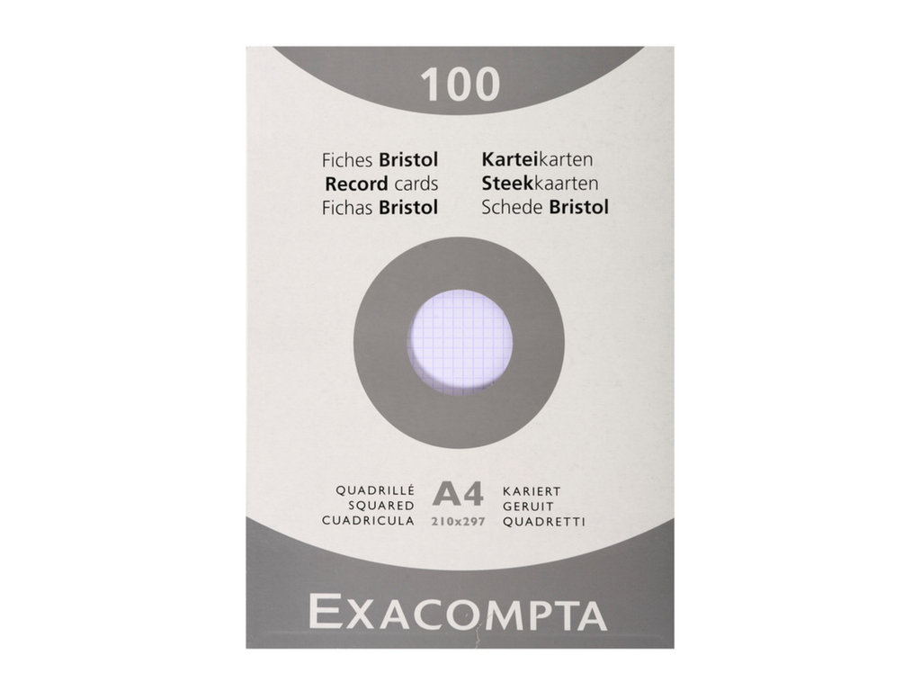 Steekkaart Exacompta 210x297 geruit wit (100)