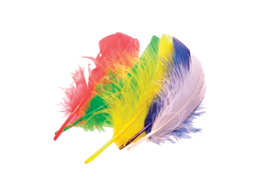Pluimen Bouhon 15cm assorti (50)