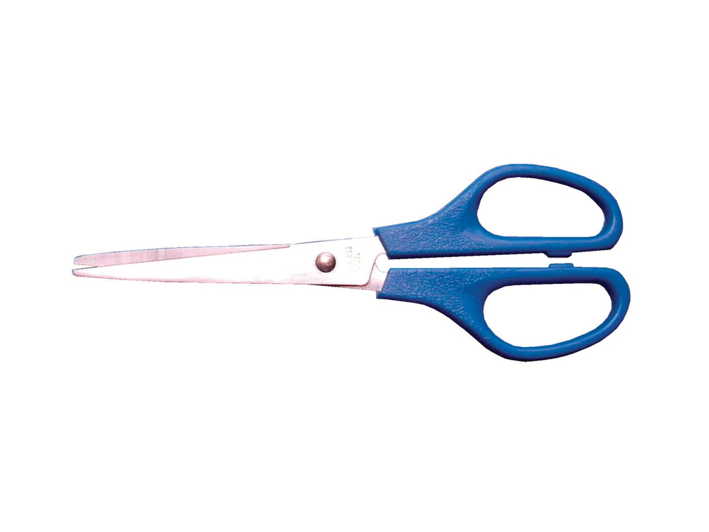Schaar Bouhon inox 16cm blauw