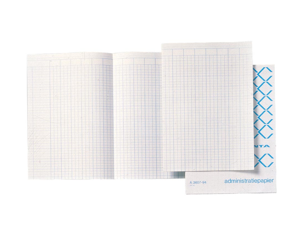 Accountantspapier Atlanta 33x20,5cm dubbel gevouwen nederlandstalig (20x5vel)