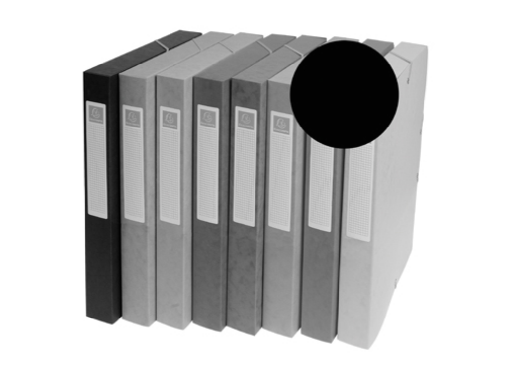 Elastobox Exacompta karton A4 rug 25mm zwart