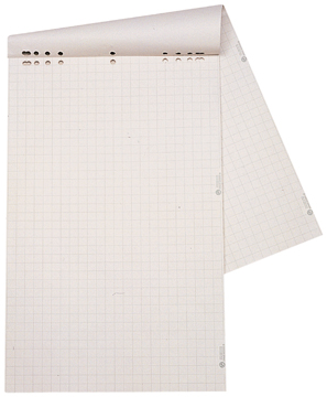 Papierblok voor flipchart Dahle 68x95cm geruit 20vel