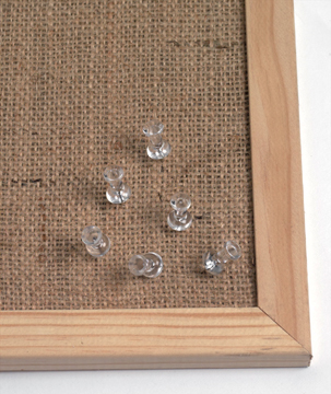 Punaises Naga transparant (25)