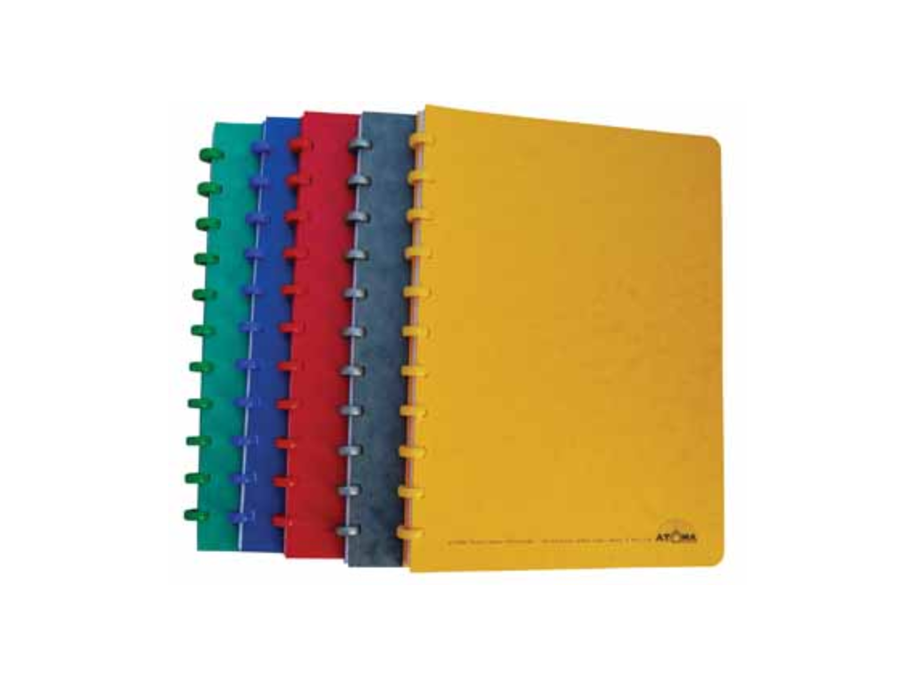 Schrift Atoma Basic Lyon karton A4 commercieel geruit 144blz assorti