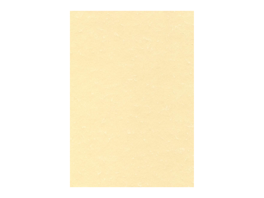 Structuurpapier Decadry A4 165gr champagne (50)