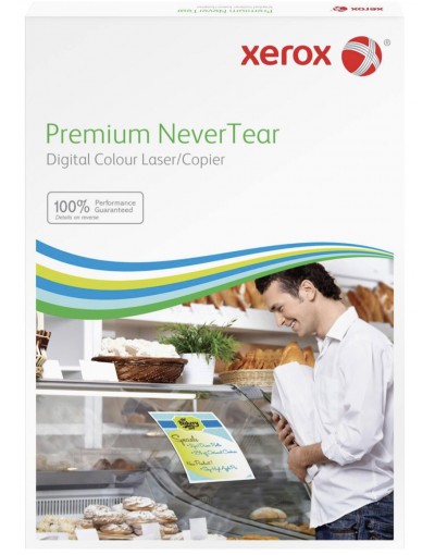 Polyester mat DIN A4 270 micron - 365gr (100)