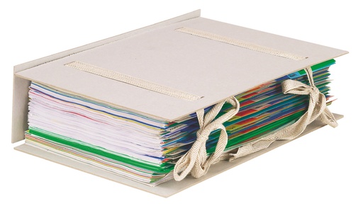 [ESS-1098700] Uitschuifbare map Esselte karton folio 1440g grijs