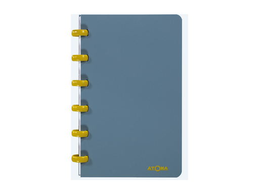 [TIM-44503] Schrift Atoma Terra PP A6 geruit 120 blz assorti