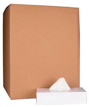 [TIM-8614A] Papieren zakdoeken 2-laags 100 tissues per doos (40)