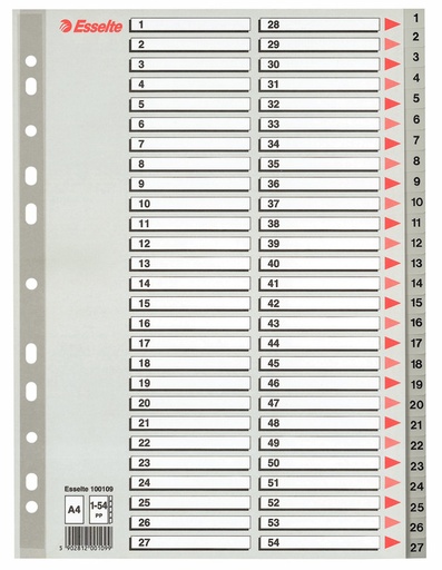 [ESS-100109] Tabbladen Esselte PP A4 1-54 11-gaats grijs