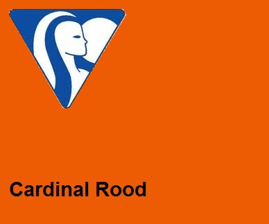 [PAP-1873] Clairefontaine DIN A4 80gr cardinalrood (500) - FSC Mix credit