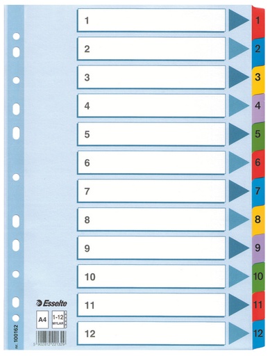 [ESS-100162] Tabbladen Esselte luxe mylar A4 160g 1-12 11-gaats assorti