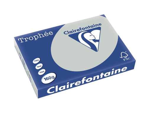 [TIM-1010PC] Trophée Pastel Clairefontaine gekleurd papier, A3 160 g lichtgrijs (250)