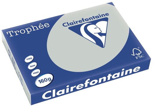 [TIM-1010PC] Trophée Pastel Clairefontaine gekleurd papier, A3 160 g lichtgrijs (250)