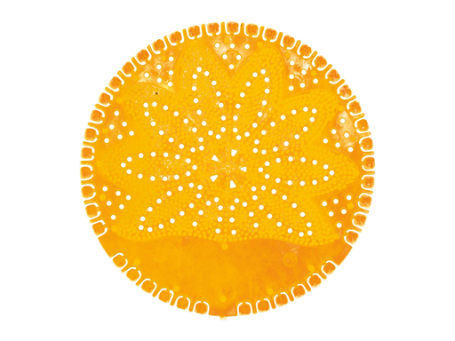 [TIM-200304] Urinoirmat VividAir Summer Fruits oranje (12)   