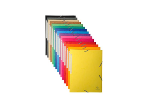 [EXA-17100H] Elastomap Exacomta maxi capacity glanskarton A4 425gr assorti