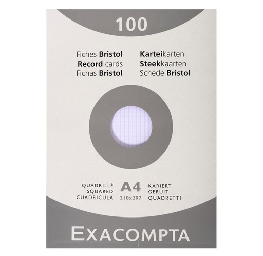 [EXA-13206E] Steekkaart Exacompta 210x297 geruit wit (100)