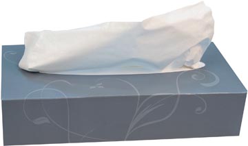 [TIM-11797] Papieren zakdoeken Katrin Plus 2-laags 100 tissues per doos