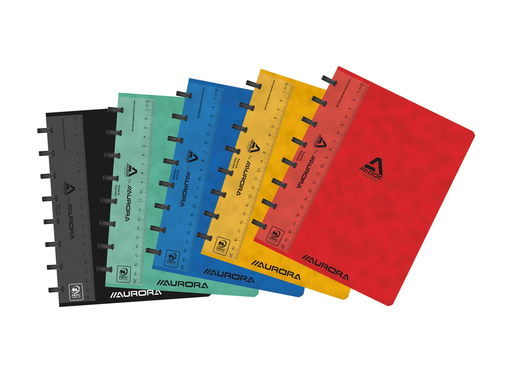 [TIM-3055100] Schrift Adoc Classic Lyon karton A5 geruit 144blz assorti met meetlat en rode kantlijn