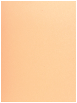 [TIM-339002E] Dossiermap Exacompta Super 210 karton A4 210g met 1 klep gems (50)