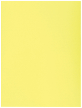 [TIM-339005E] Dossiermap Exacompta Super 210 karton A4 210g met 1 klep geel (50)