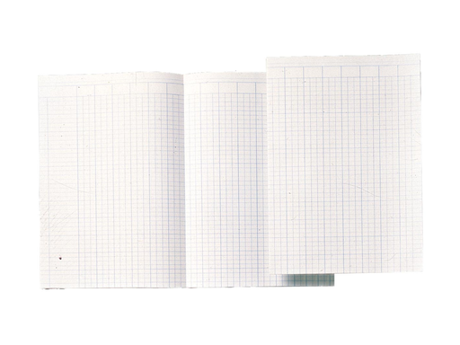 [TIM-360794] Accountantspapier Atlanta 29,4x20,7cm dubbel gevouwen nederlandstalig (20x5vel)