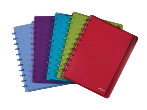 [TIM-41384] Schrift Atoma PP A4 maxi commercieel geruit 120blz met tabs en 5 showtassen transparant assorti